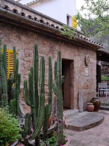 Hostal Catalina Vera Puerto de Andratx Buitenkant foto